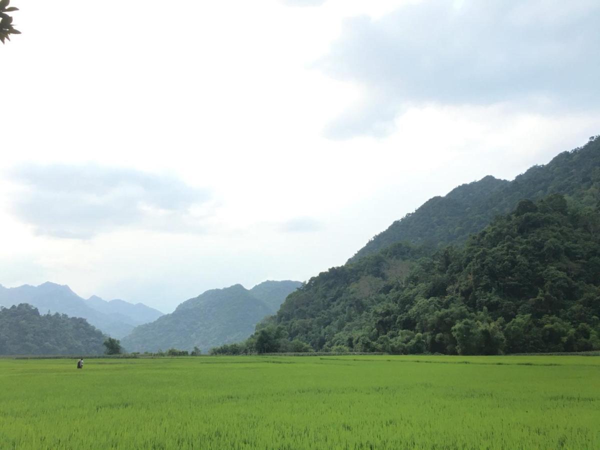 Hoàng Quân Homestay Ba Be Ngoại thất bức ảnh